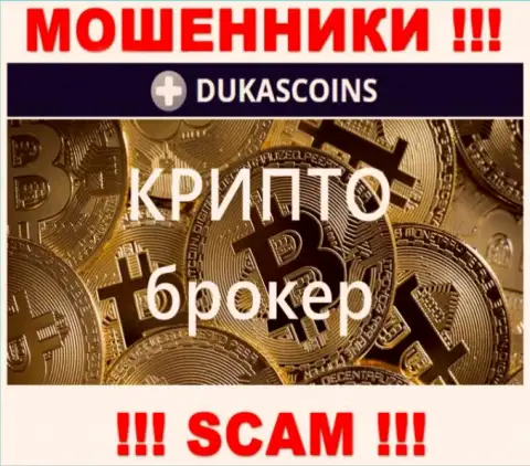 Сфера деятельности internet-разводил ДукасКоин - это Crypto trading, но имейте ввиду это разводняк !!!