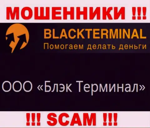 На официальном информационном ресурсе BlackTerminal отмечено, что юридическое лицо конторы - ООО Блэк Терминал