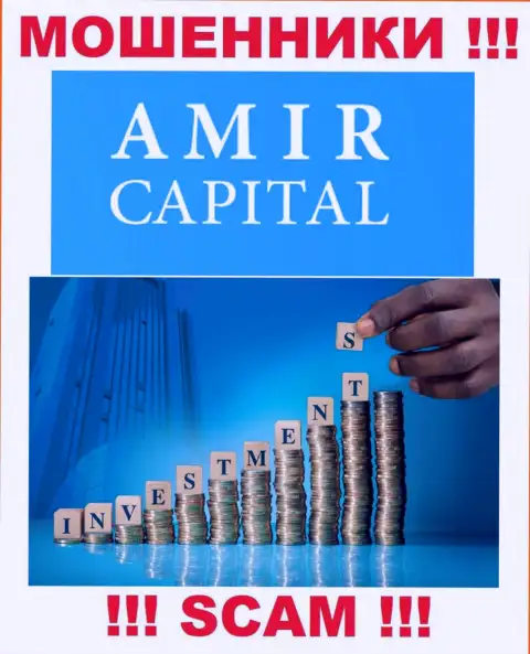 Не вводите денежные средства в АмирКапитал, род деятельности которых - Инвестиции