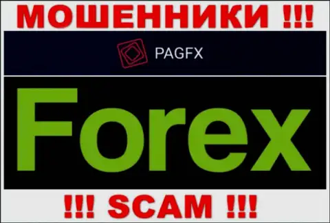 PagFX Com оставляют без средств неопытных клиентов, работая в направлении Forex