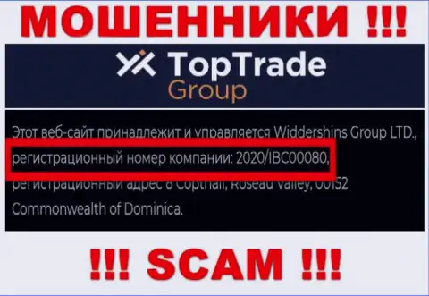 Регистрационный номер Top Trade Group - 2020/IBC00080 от кражи вложенных денег не спасет