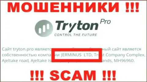 Данные о юридическом лице Тритон Про - это организация Jerminus LTD