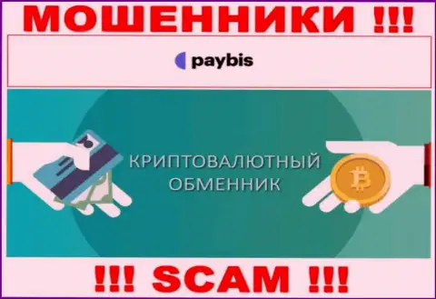 Крипто обменник - это направление деятельности противозаконно действующей компании PayBis