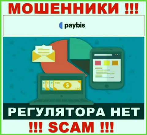 У PayBis на онлайн-ресурсе не опубликовано сведений о регуляторе и лицензии организации, а следовательно их вообще нет