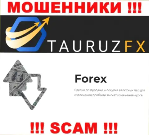 FOREX - это конкретно то, чем промышляют интернет мошенники ТаурузФХ