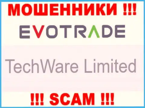Юридическим лицом EvoTrade считается - TechWare Limited