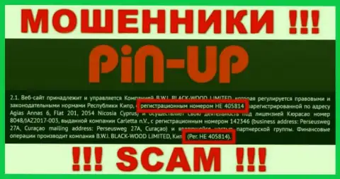 Номер регистрации очередных мошенников всемирной интернет сети организации Pin Up Casino: HE 405814