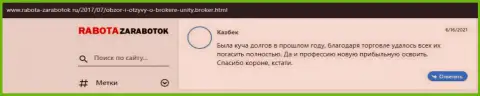 Отзывы биржевых трейдеров об ФОРЕКС организации ЮнитиБрокер, имеющиеся на веб-сайте rabota-zarabotok ru