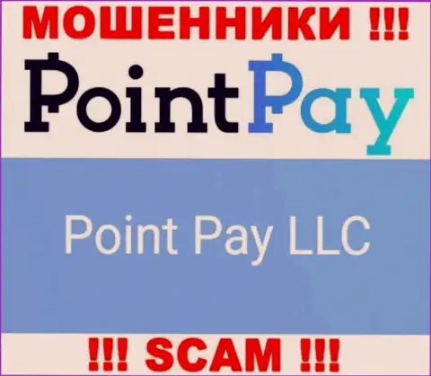Юридическое лицо мошенников PointPay - Поинт Пэй ЛЛК, данные с онлайн-ресурса обманщиков