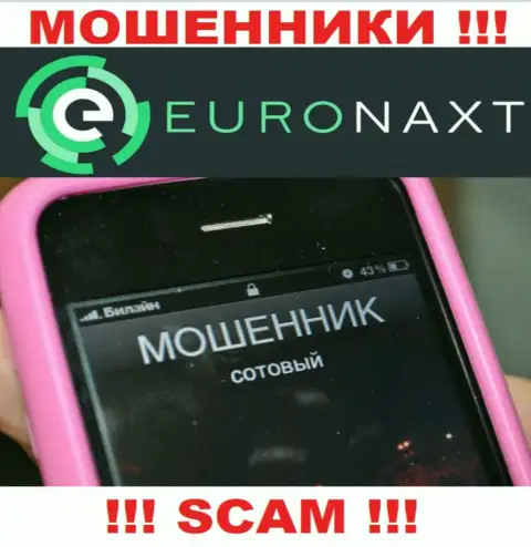 Вас хотят развести на деньги, Euronaxt LTD в поисках новых доверчивых людей