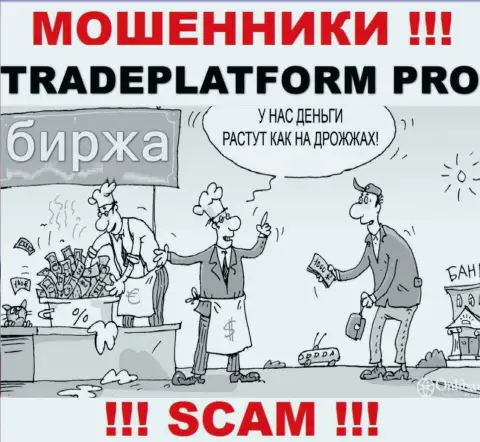 Заработок с брокером TradePlatformPro Вы не получите - крайне опасно заводить дополнительные финансовые активы