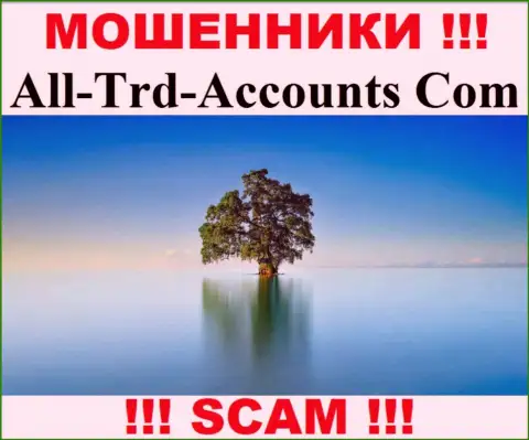 All Trd Accounts крадут вложенные денежные средства и выходят сухими из воды - они скрыли сведения о юрисдикции