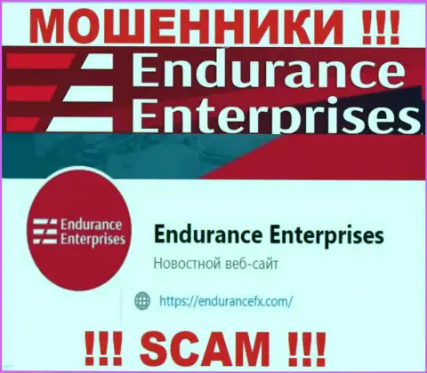 Связаться с мошенниками из организации Endurance FX Вы можете, если напишите письмо им на е-майл