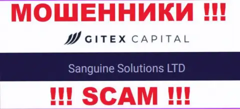 Юр. лицо Гитекс Капитал - это Sanguine Solutions LTD, именно такую информацию представили мошенники у себя на web-портале