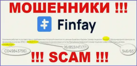 На сайте FinFay приведена их лицензия, но это коварные аферисты - не надо верить им