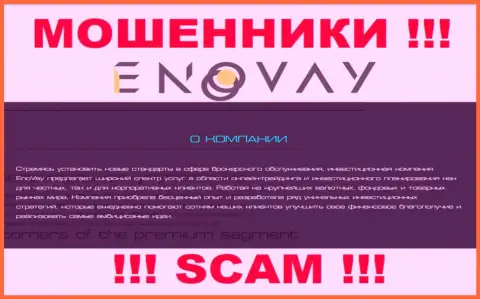 Поскольку деятельность интернет-мошенников EnoVay Com - сплошной обман, лучше будет сотрудничества с ними избегать