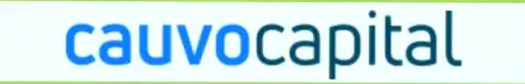 Лого организации КаувоКапитал Ком
