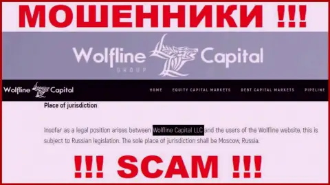 Юридическое лицо компании WolflineCapital это ООО Волфлайн Кэпитал
