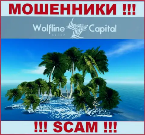 Мошенники WolflineCapital Com не размещают правдивую инфу относительно своей юрисдикции